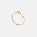 Anello-rigido-con-diamante_1